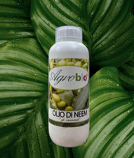 OLIO DI NEEM PURO BIOLOGICO