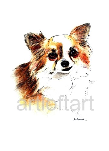 Chihuahua dog aceo card - dog,