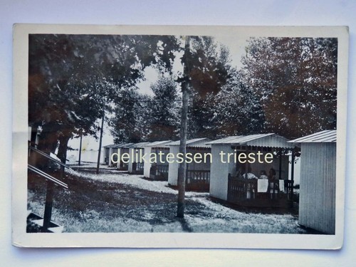 Sveti nikolaj capodistria - sveti,