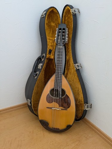 Mandolino suzuki con - mandolino, m-30