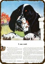 1942 ENGLISH SPRINGER SPANIEL