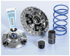 241.712 VARIATORE POLINI