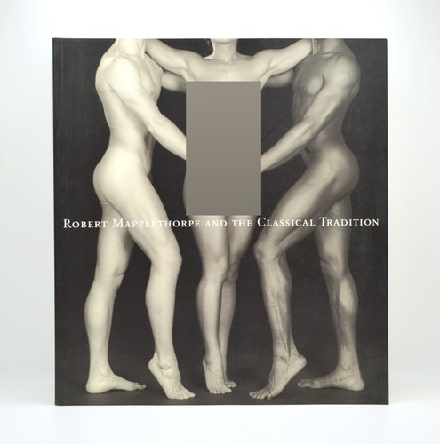 Robert mapplethorpe and the - mapplethorpe,