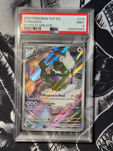 Carte promozionali tornadus - carte,