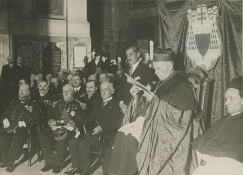 Cardinal verdier amiral - cardinal, verdier,