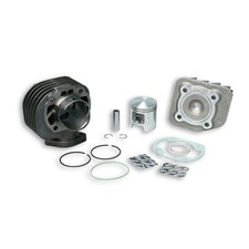 GRUPPO TERMICO MALOSSI 319987