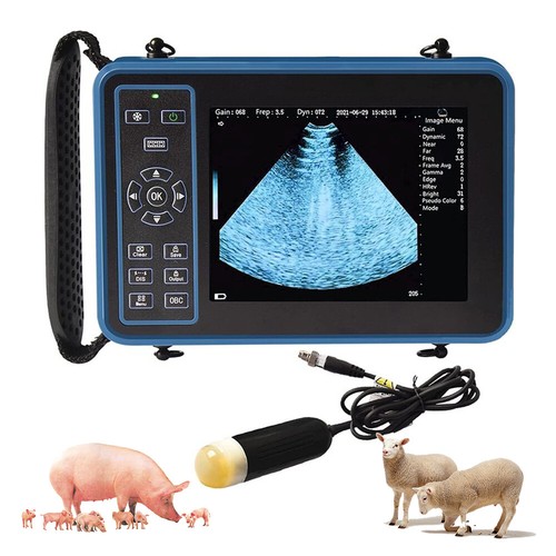 Scanner portatile per