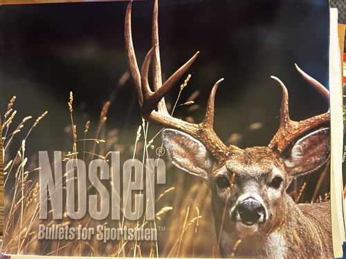 Nosler proiettili per sportivi - proiettili,