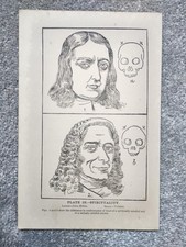 Spirituality - Phrenology -