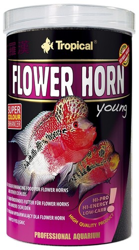 Tropical flower horn 1000 - flower,