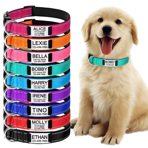 Collare cane personalizzato - collare,