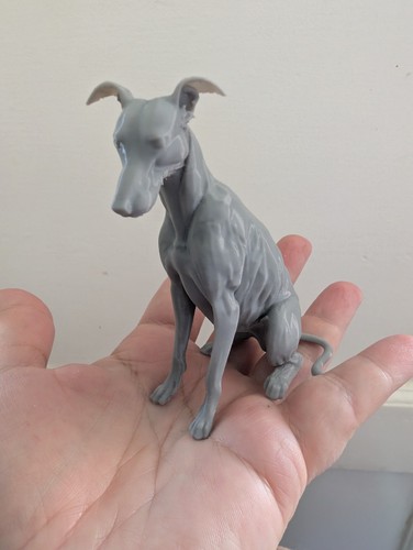 Greyhound lurcher whippet home - greyhound,