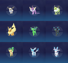 Qualsiasi/TUTTO Lucido o Non