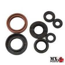 KIT PARAOLI MOTORE SUZUKI RGV