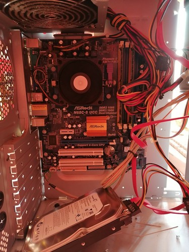 Scheda madre asrock n68c - madre, amd