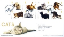 Fauna. Gatti 2022. FDC.
