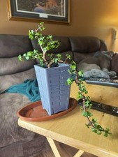 5" tower design cascade bonsai