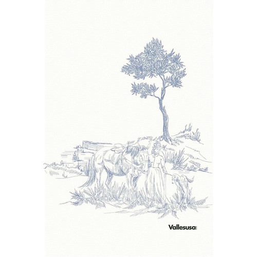Canovaccio cucina vallesusa - cucina,