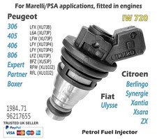 Iniettore Benzina IW720 per