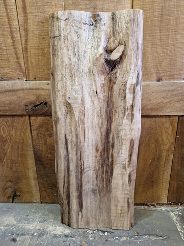 Lastra cedro legno bordo - lastra, di