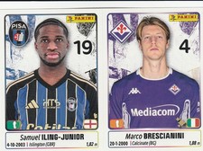 figurina panini calciatori
