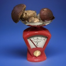 🌈  DULTON Bilancia  pesa