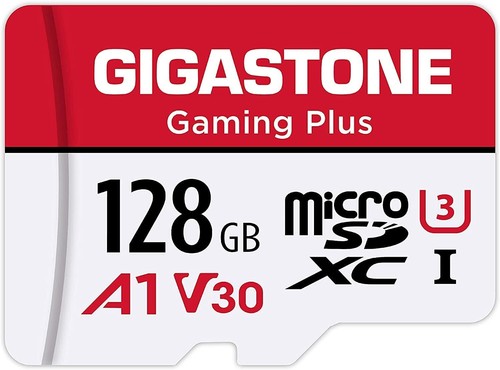 Scheda memoria gigastone - di,