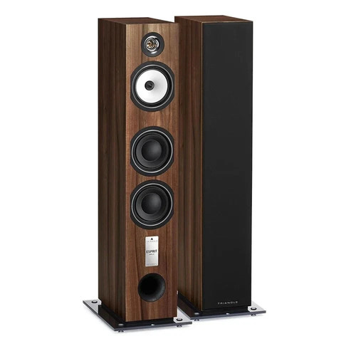 Triangle antal chestnut - ez,