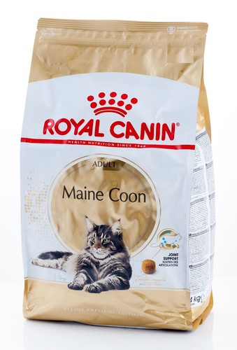 Royal canin maine coon - maine, cibo