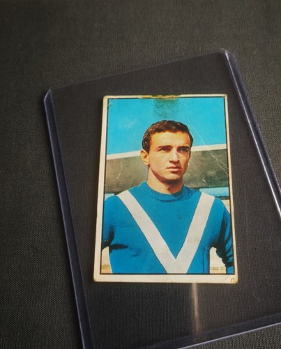 Salvi figurina album - salvi,