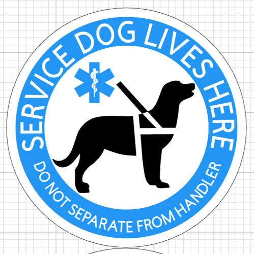 Service dog vive - vive, qui,