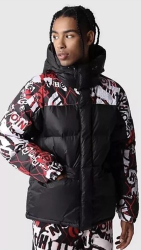 The north face - north, parka
