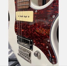Custodia per chitarra