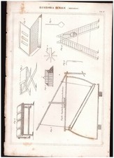 ECONOMIA RURALE Filugello