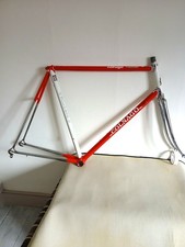Telaio/Forcella bici Master