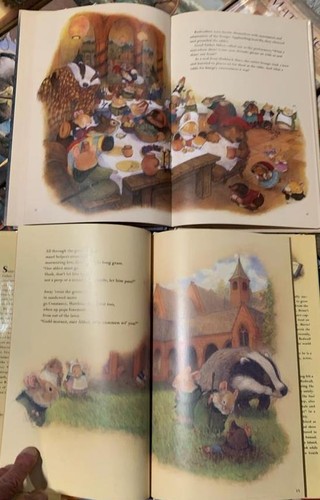 Complete redwall series - 24,