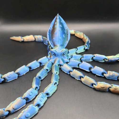 Calamari polpo figura - calamari,