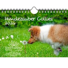 Hundezauber Collies DIN A5 Kalender für 2026 Welpen und Hunde - Seelenzauber