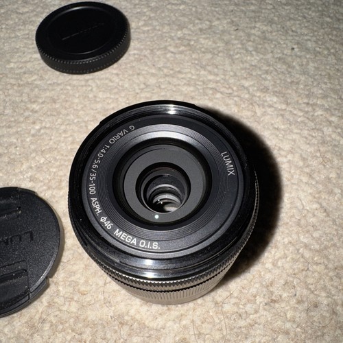 Panasonic lumix vario 100 - panasonic,