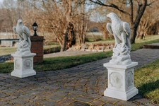 Set aquila reale aquila su