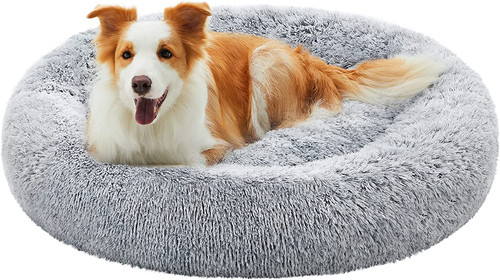 Cuccia cane interno - cuccia,