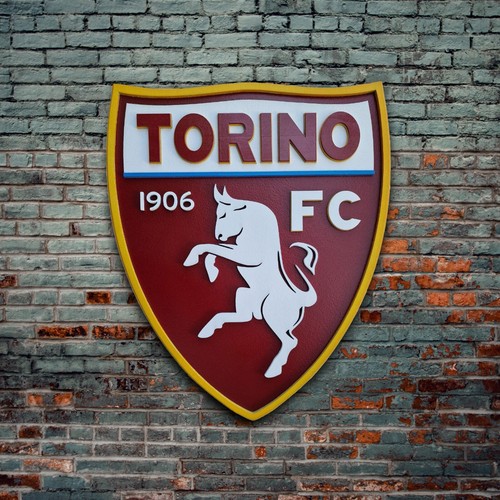Logo torino legno - logo, fc