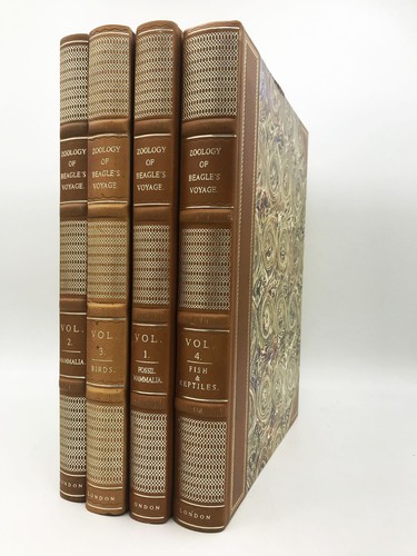Darwin charles zoology of - charles,