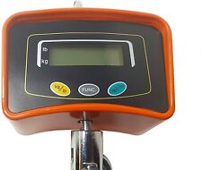 Bilancia Professionale