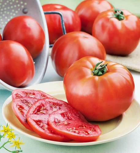 Pomodoro mercury semi - pomodoro,
