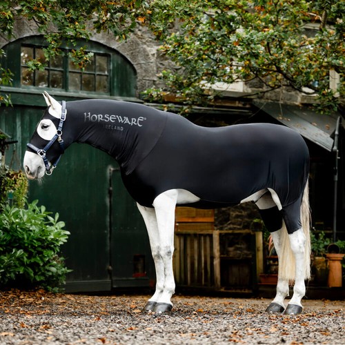 Carrozzeria completa horseware - carrozzeria,