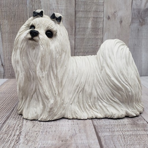 Cane sandicast maltese - cane,