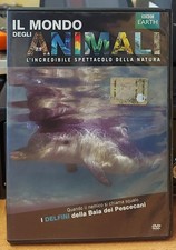 I DELFINI DELLA BAIA DEI