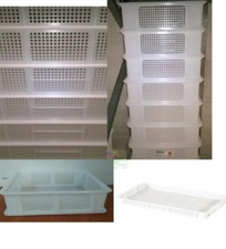 CASSETTA CONTENITORE FORATA 60X40 SERVICE PROF PASTA FRESCA PALLINE PIZZA 1 2024