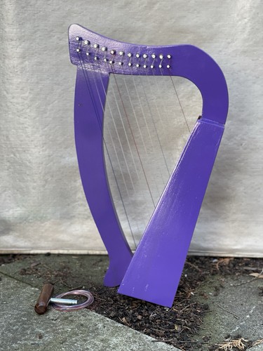 Punture strumenti musicali - punture,